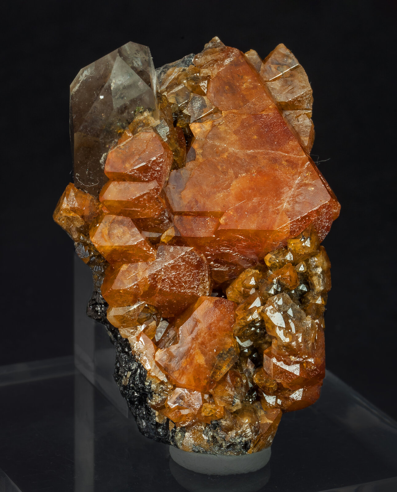 specimens/s_imagesAO8/Scheelite-TRT68AO8s.jpg