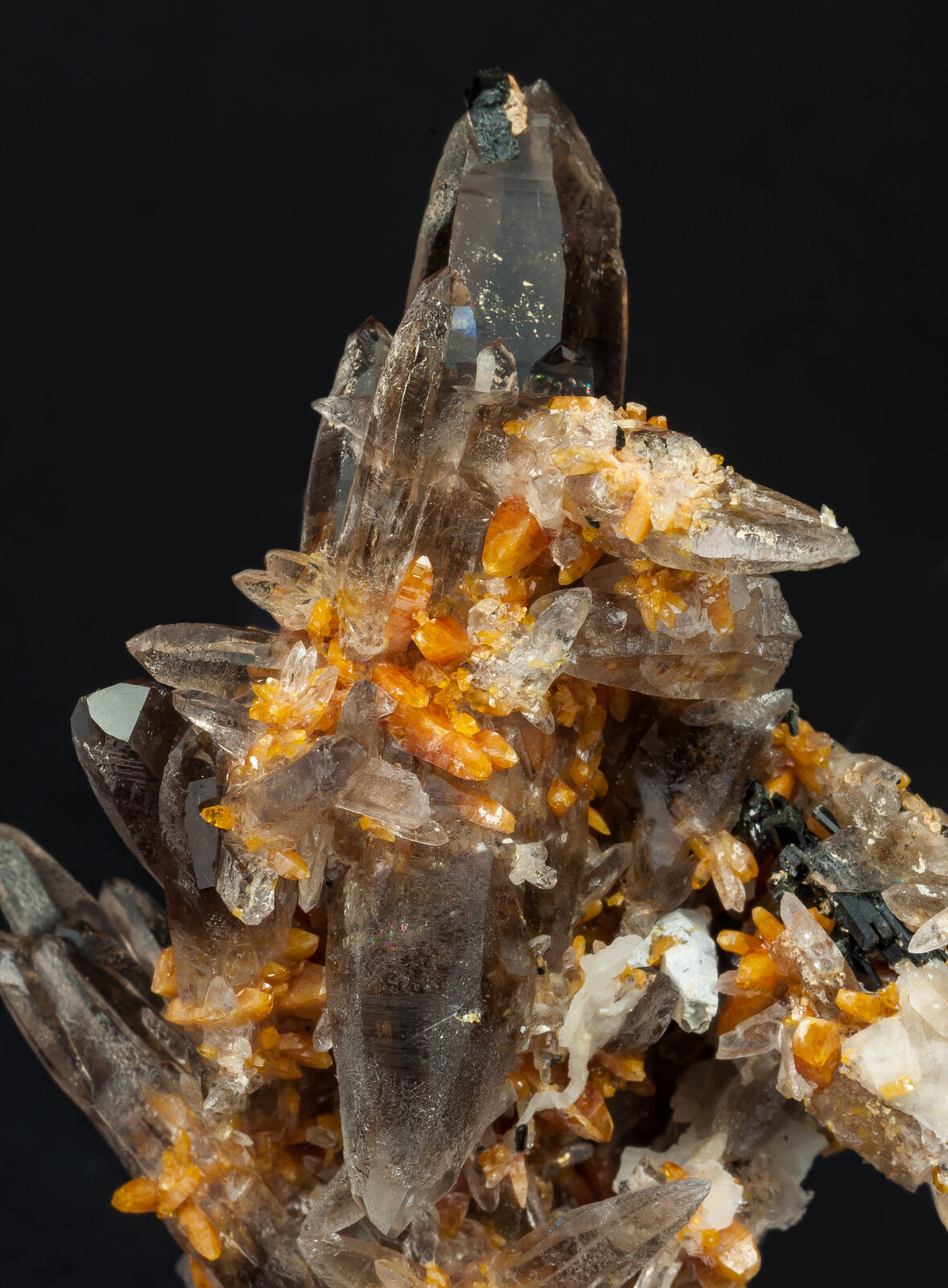specimens/s_imagesAO8/Zircon-ERB98AO8d.jpg