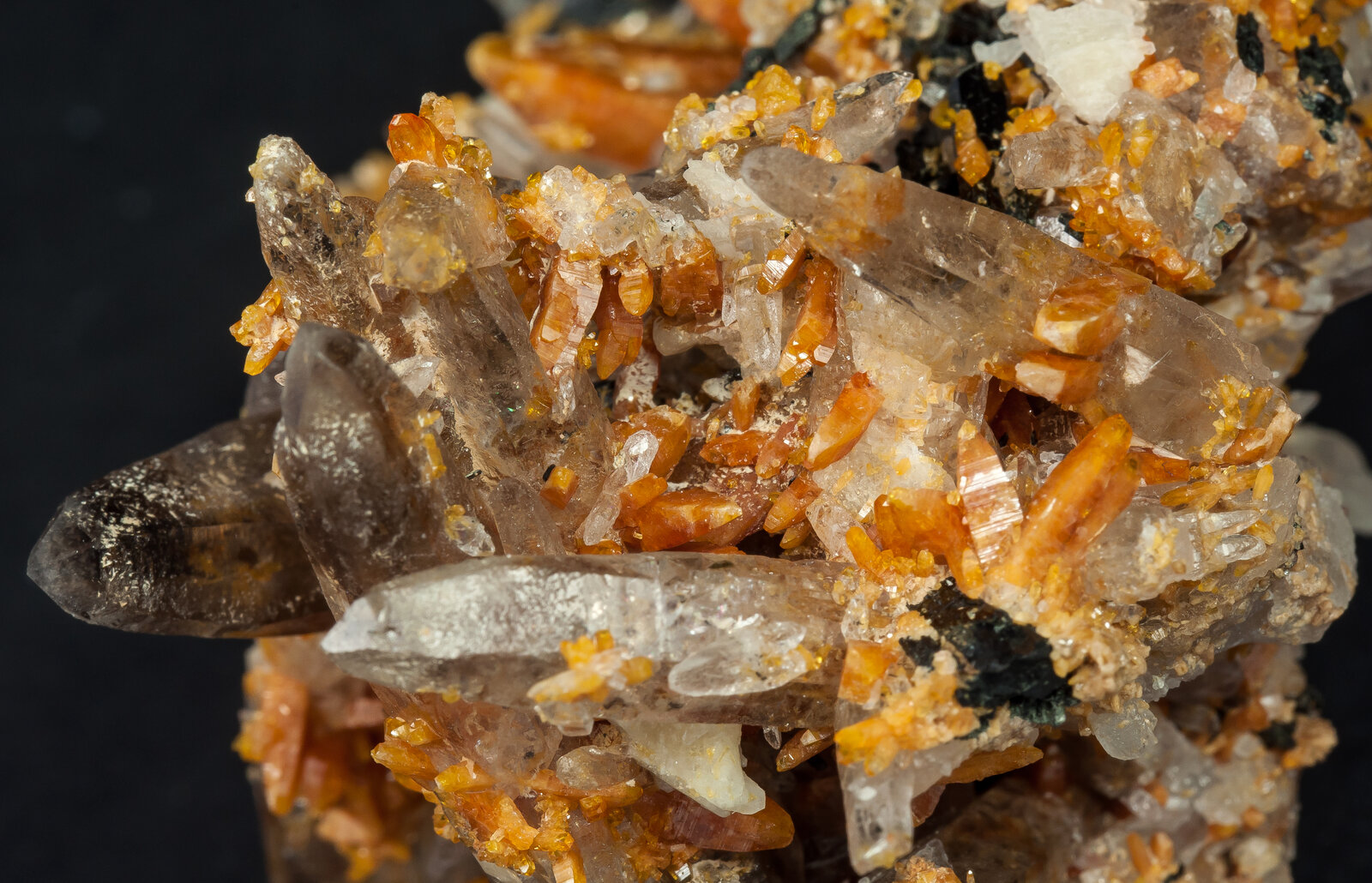 specimens/s_imagesAO8/Zircon-ETM89AO8d.jpg