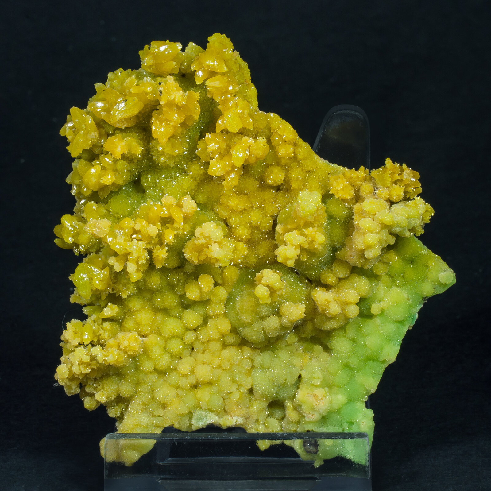specimens/s_imagesAP1/Pyromorphite-EYB67AP1f.jpg