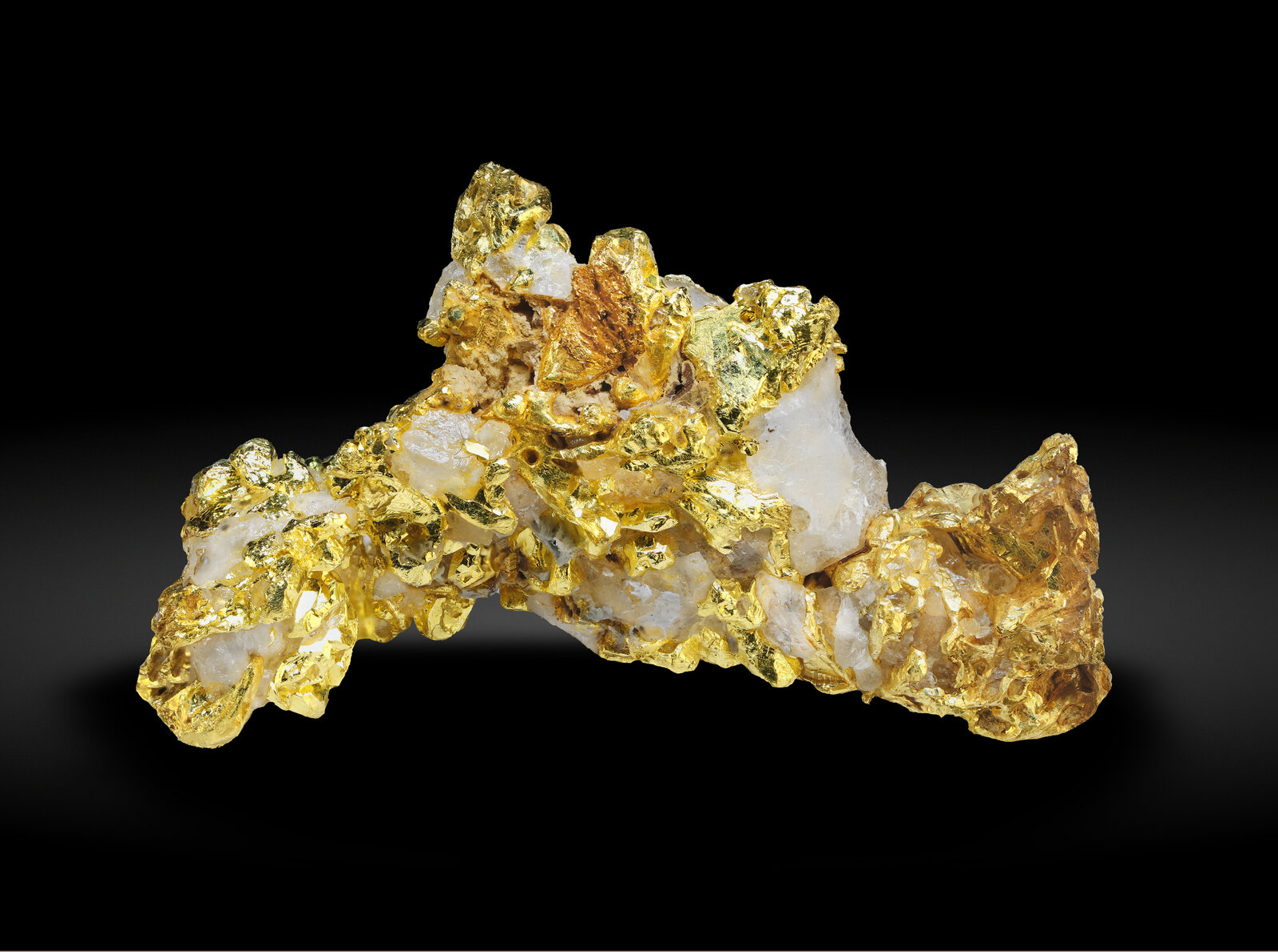 specimens/s_imagesAP6/Gold-CPR73AP6_012_r.jpg