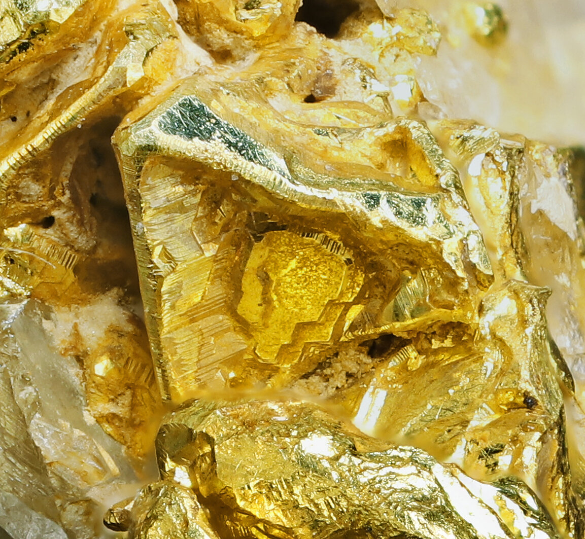 specimens/s_imagesAP6/Gold-CPR73AP6_013_d.jpg
