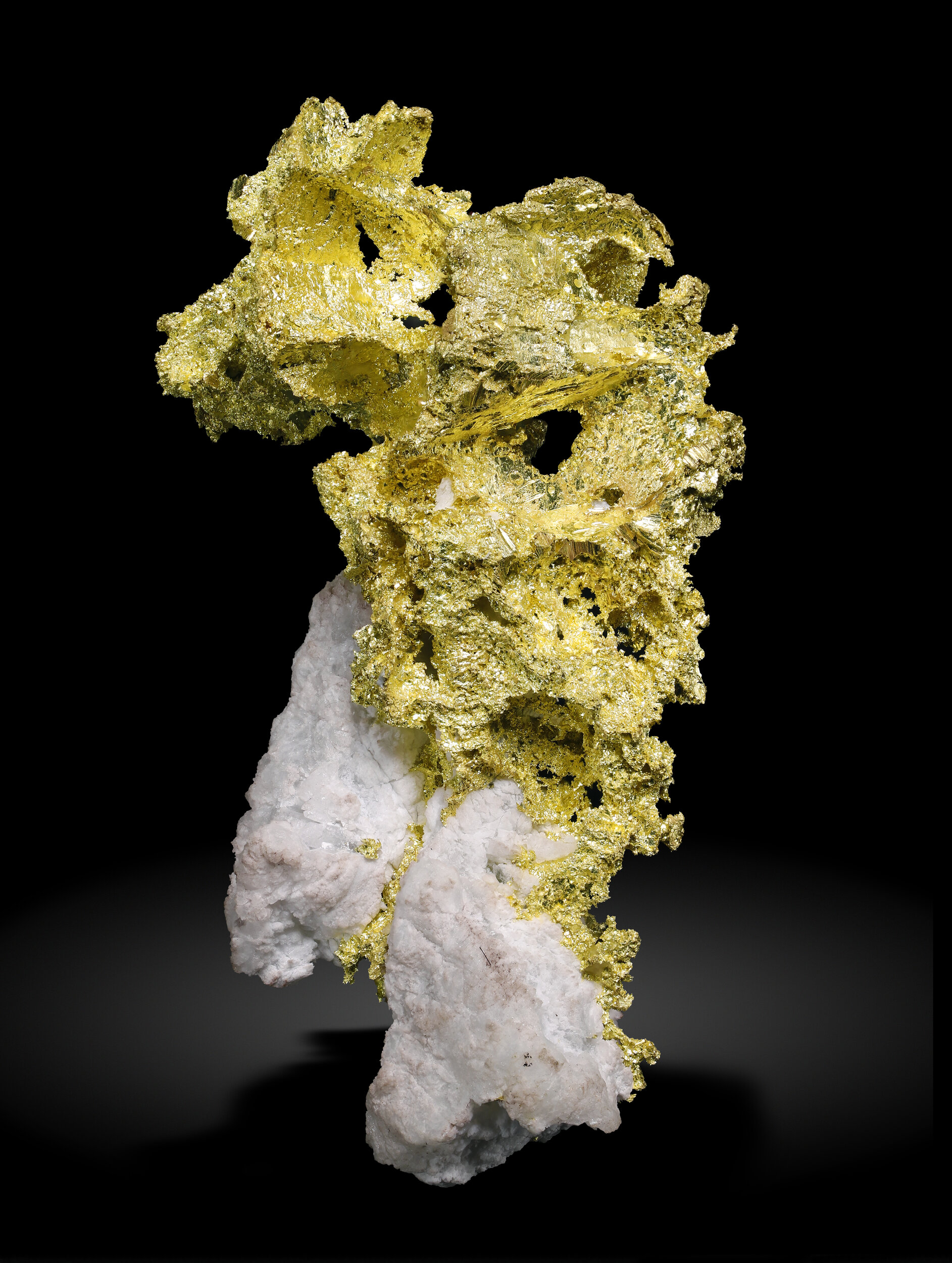 specimens/s_imagesAQ0/Gold-TXJ99AQ0_6871_f.jpg