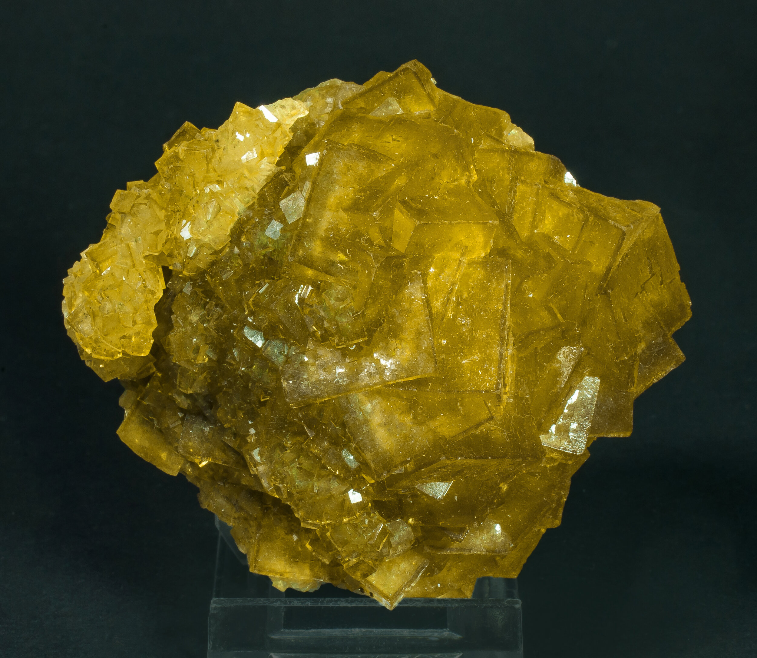 specimens/s_imagesAQ1/Fluorite-TRM37AQ1f.jpg