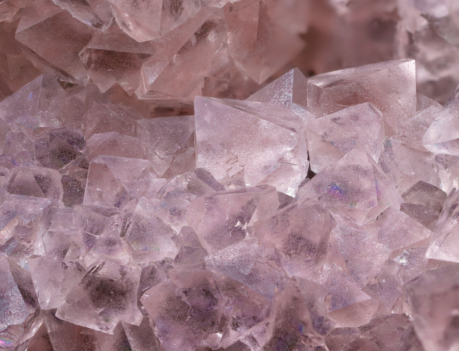 specimens/s_imagesCD1/Fluorite-EXJ38CD1_4454_d.jpg