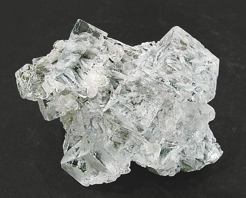 specimens/s_imagesF0/NY12F0.jpg