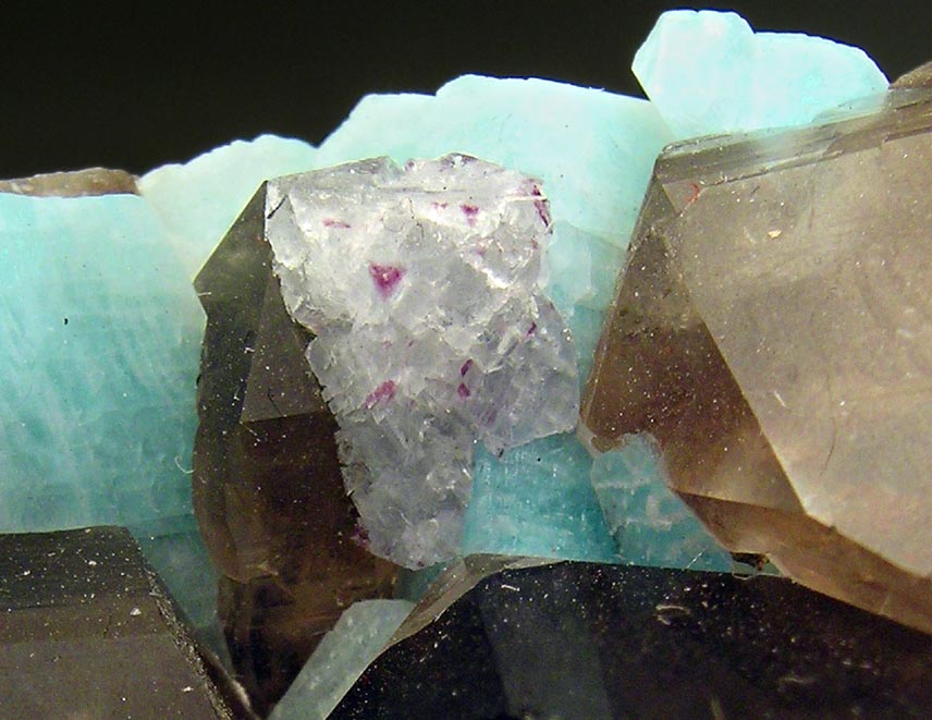specimens/s_imagesH0RF/FK86H0d.jpg