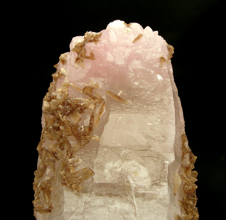 specimens/s_imagesH3/TD67H3d.jpg