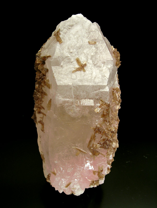 specimens/s_imagesH3/TD67H3f.jpg
