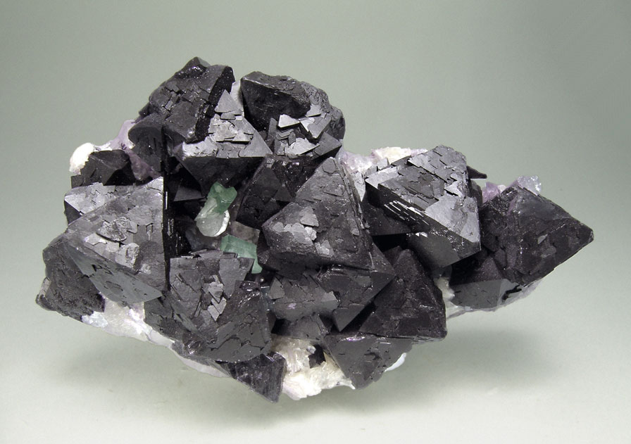 specimens/s_imagesM0/KQ49M0f.jpg