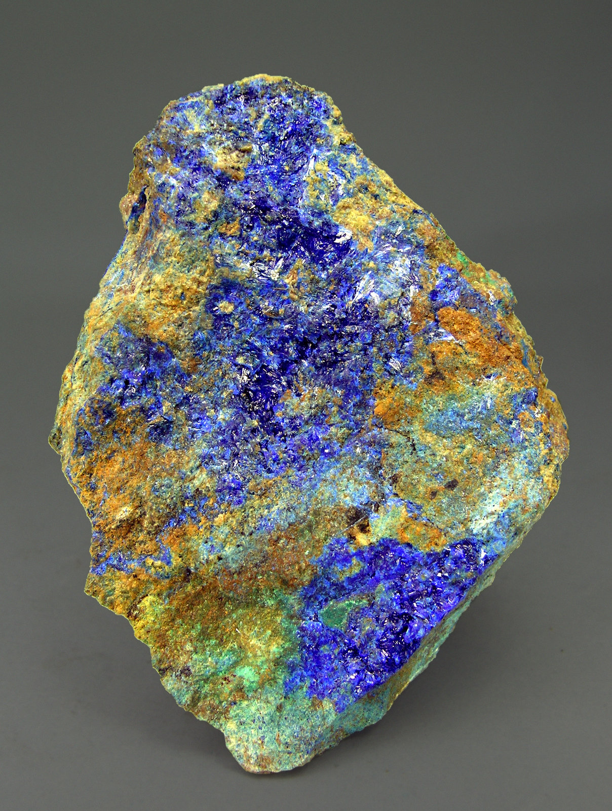 specimens/s_imagesM0/RP63M0f.jpg