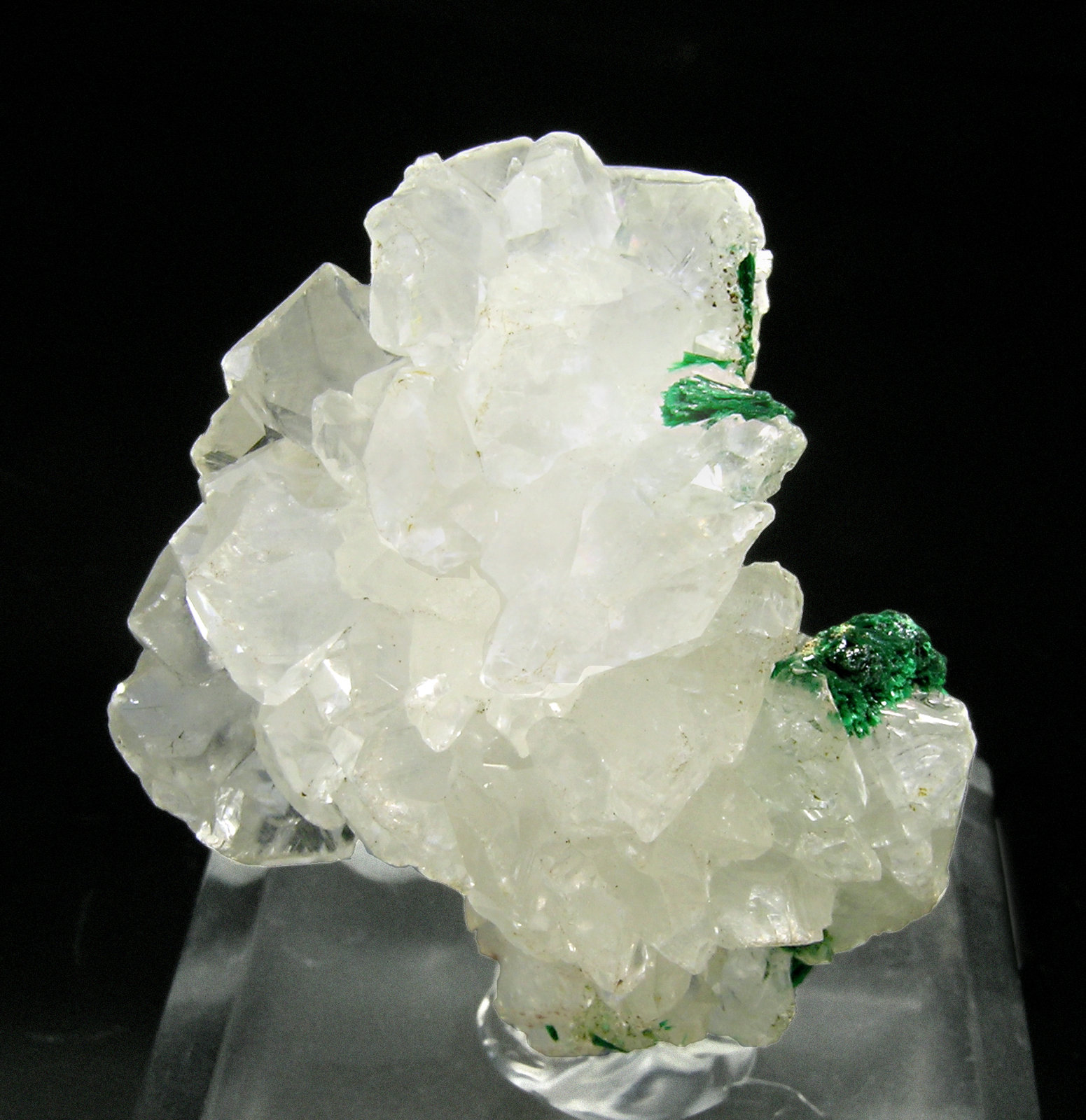 specimens/s_imagesM3/RB59M3.jpg