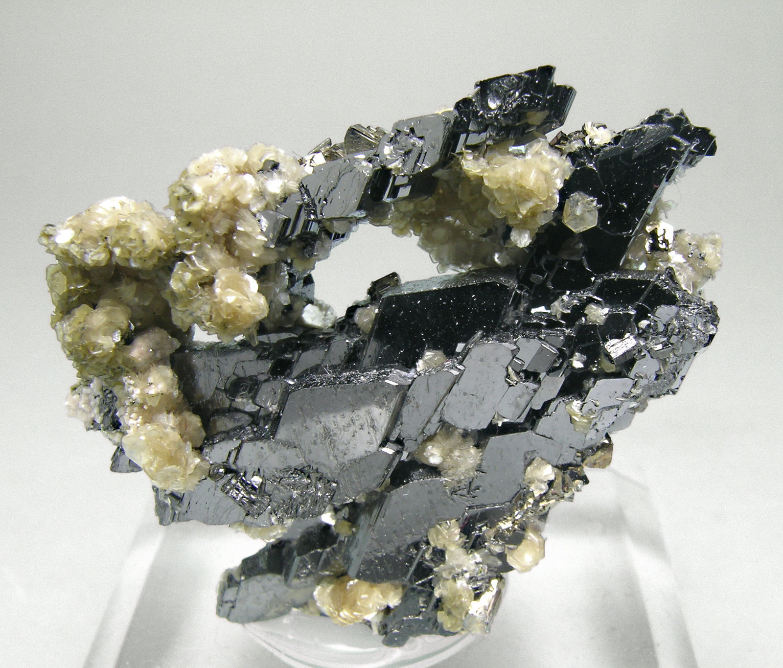 specimens/s_imagesM5/Ferberite-NP17M5f.jpg