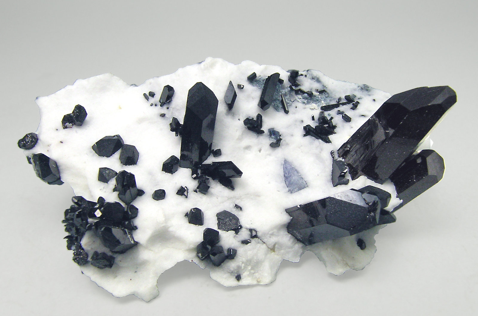specimens/s_imagesN2/Neptunite-AY87N2s.jpg