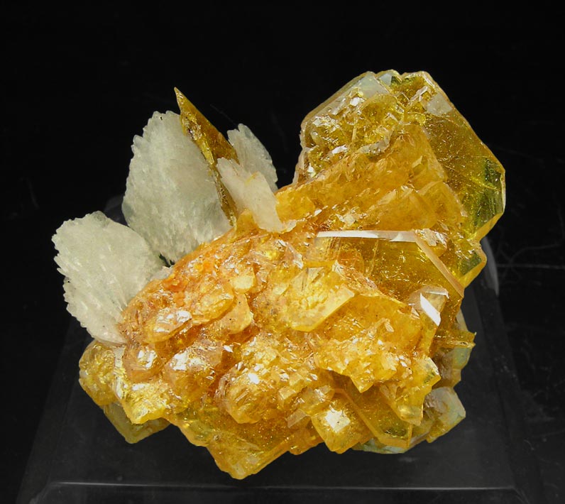 specimens/s_imagesQ0/Wulfenite-AC17Q0.jpg