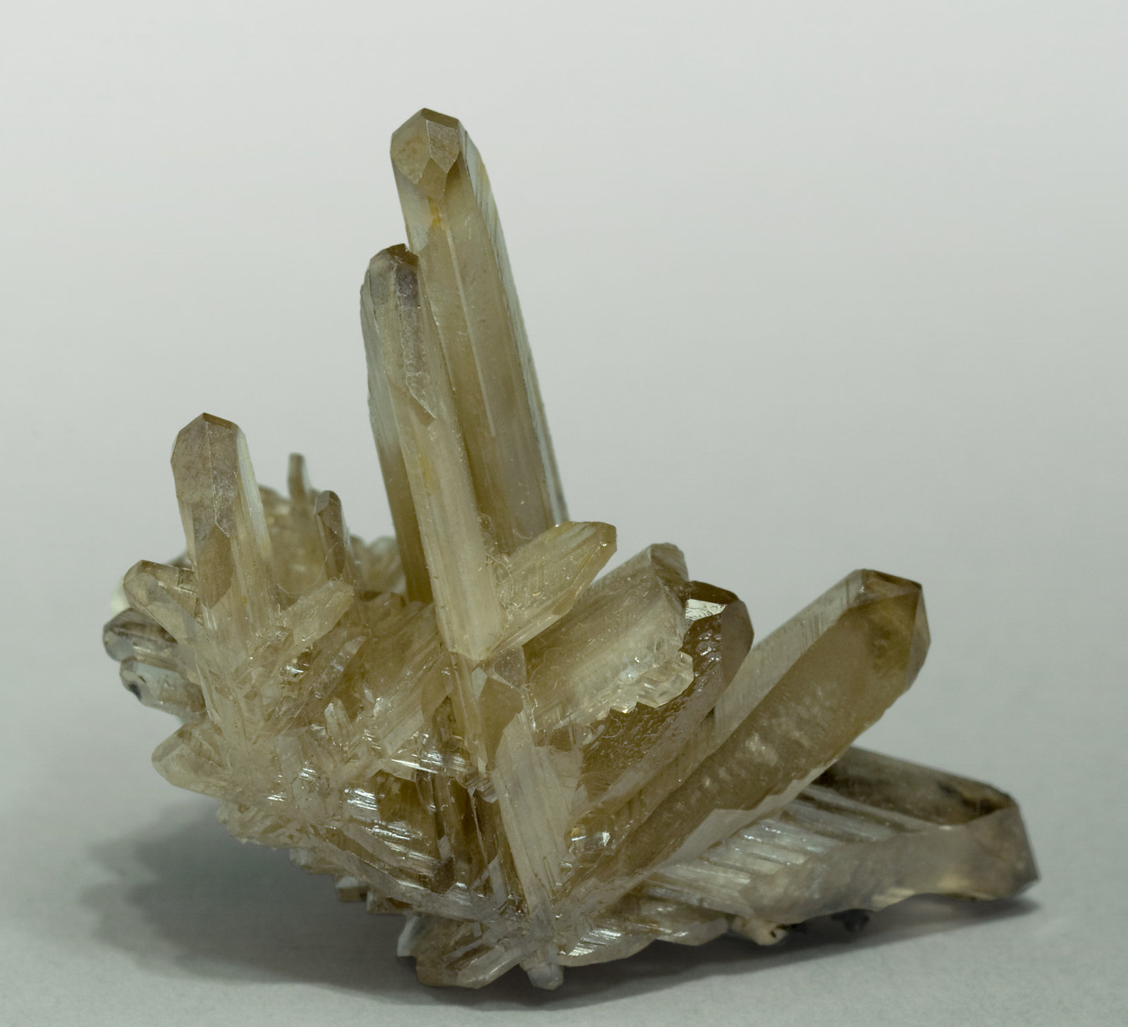 specimens/s_imagesW0/Cerussite-JH56W0.jpg